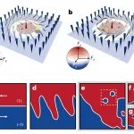 研究前沿：量子流体-斯格明子/拓扑电子材料 | Nature Physics