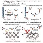 南京大学丁梦宁课题组JACS：无序RuO₆八面体表面氧动力学强化实现硫醚高选择性电氧化制亚砜