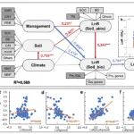 中国农科院资划所研究团队在《Earth's Future》发文，发现长期绿肥轮作降低稻田甲烷排放