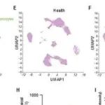 Adv Sci丨中南大学张华莉等团队研究揭示IL1R2-ENO1通路通过糖酵解调控脓毒症炎症的新机制