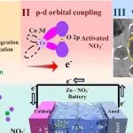 云南大学J. Energy Chem.：三相界面电子调控耦合协同催化实现高效硝酸盐还原合成氨及高功率电池