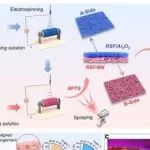 AFM | 江南大学王平研究开发的双Janus纳米纤维纺织品具备卓越的热湿管理能力