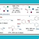 【ACS Catal.】西湖大学邓力课题组：烷基胺的对映选择性α-烯基化反应