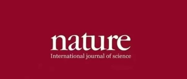 Nature Cat大地震！连发两篇催化顶刊！突破纳米催化领域百年卡脖子瓶颈！