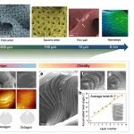 研究进展：超材料催化剂-3D打印 | Nature Communications