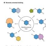 研究进展：点击化学-有机合成 | Nature Reviews Methods Primers
