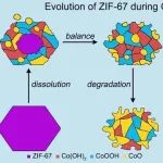 【Nano Lett.】华理戴升团队/宁波材料所陆之毅团队：ZIF-67催化剂OER反应演化机制新进展