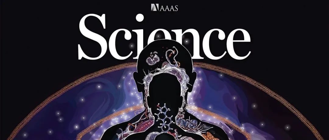 【Science周一新闻】软体动物石鳖为何却拥有铁一般硬度的牙齿？