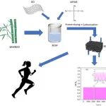 浙江科技大学《ACS AEM》：竹纤维素-石墨烯气凝胶传感器，用于健康监测、柔性可穿戴应用等