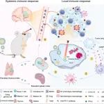 ACS Nano：纠正免疫缺陷的免疫启动剂可恢复免疫功能以增强抗IDH突变型胶质瘤的免疫治疗
