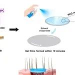 Bioact. Mater丨华东理工大学刘润辉等团队研究制造抗氧化和抗菌水凝胶膜以加速感染的糖尿病伤口愈合