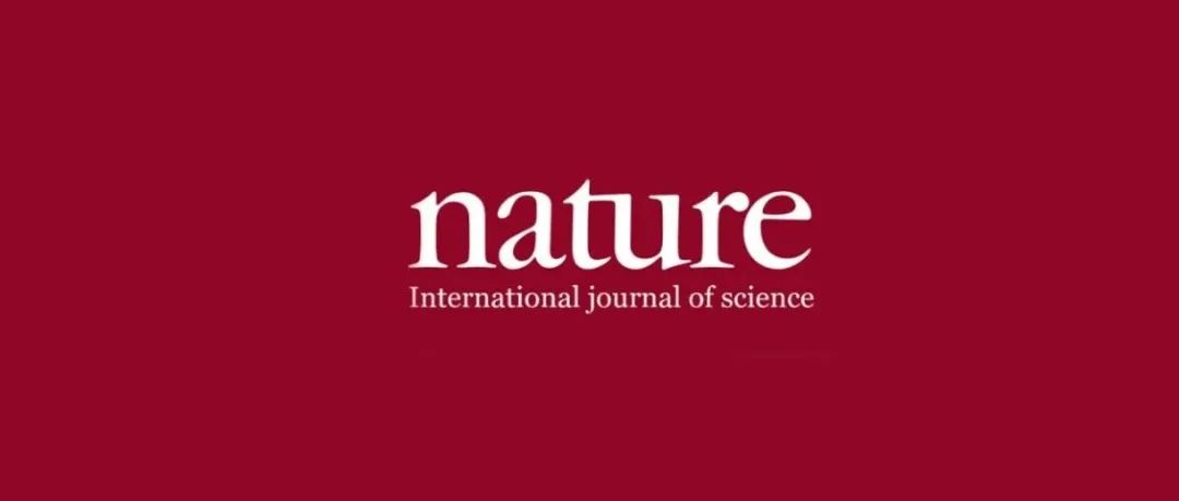 左手Nature右手Nature Materials！锂电研究新规则！成本更低、性能更好的快充电池设计不再是难题！