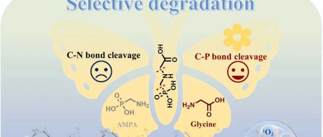 文献速递|三峡大学JHM:草甘膦降解过程中通过单线态氧主导的碱激活过氧单硫酸盐介导的C−P键选择性断裂