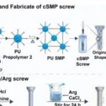Bioact Mater丨香港理工大学赵昕等团队研究的骨螺钉可为骨细胞提供能量并增强骨再生