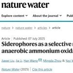 同济大学王亚宜团队Nature Water：铁载体作为选择性调节剂增强厌氧氨氧化菌