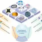 广西大学本科生以第一作者在《Materials Today》发表可穿戴电子皮肤综述