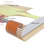 研究进展：滚压柔性电子学-3D神经探针/脑机接口 | Nature Electronics