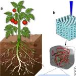 东华大学门永军 CEJ：首个3D打印植物培养基