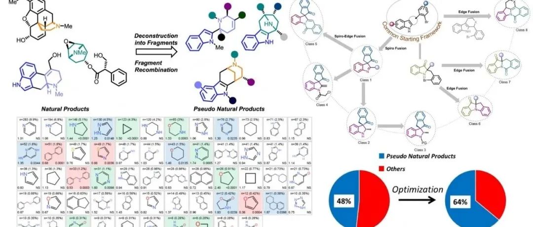 「JMC综述」｜药物设计：天然产物，活性骨架，分子砌块与活性新分子的逻辑关系