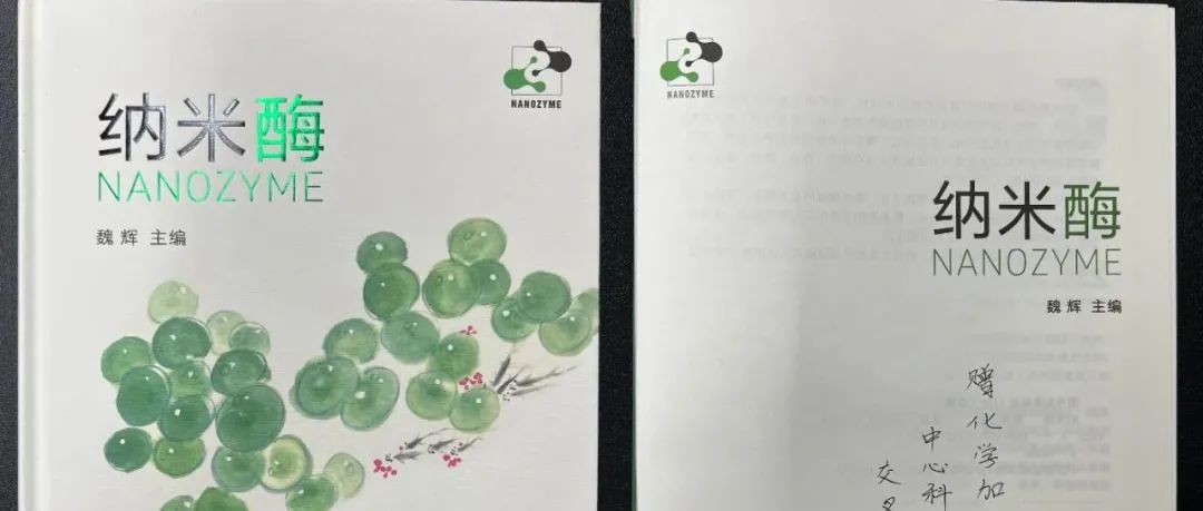 《纳米酶》：首部纳米酶的中文专著