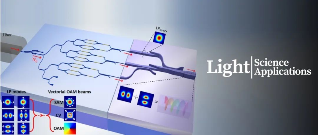 戴道锌团队Light | 片上可重构矢量结构光合成