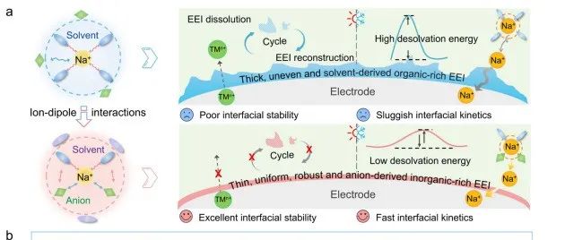 温大侴术雷/李林＆周洵竹最新JACS：弱配位羧酸酯共溶剂助力-20至100℃宽温钠离子全电池！