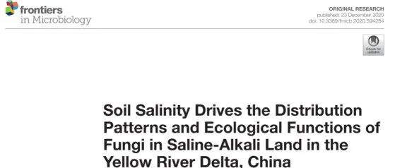 【文献精选】Frontiers in Microbiology | 土壤盐分驱动黄河三角洲盐碱地真菌分布格局及生态功能