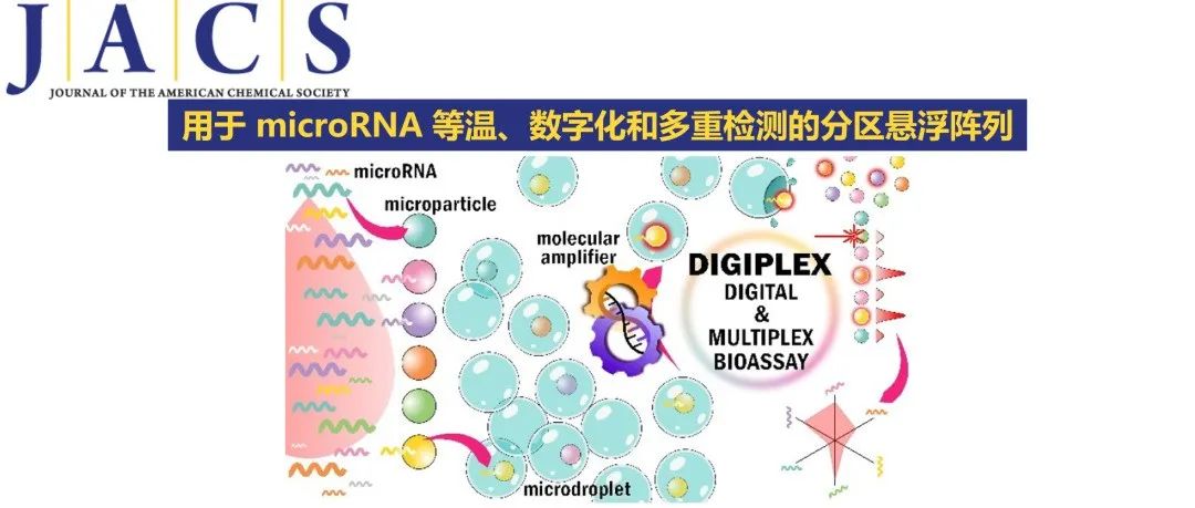 JACS | 用于 microRNA 等温、数字化和多重检测的分区悬浮阵列