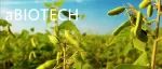 aBIOTECH&#160;|&#160;河南农业大学王燃团队证实GmMYB93通过调控GmBADH2基因表达增强大豆香气
