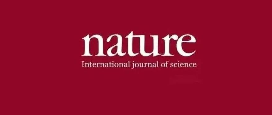 知名华人博士再度登顶Nature！破世界纪录，材料科学研究迎来封神佳作！炸出惊天突破！