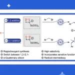 【ACS Catal.】印度科学教育与研究所：配体控制的区域发散性合成 α-叔烷基和季烷基-烷氧基硅烷