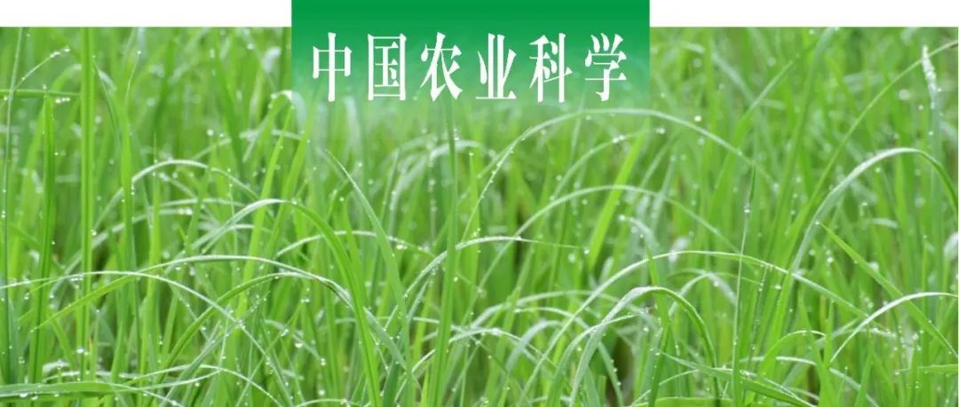 中国农业科学 | 黑龙江八一农垦大学联合江苏省农科院粮作所探析耐盐南粳品种苗期盐胁迫应答的生理特性及其耐盐相关基因的表达水平