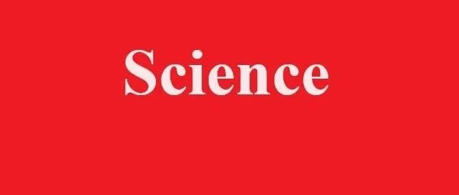 青岛大学教授将《Science》论文怼上国产顶刊《The lnnovation》