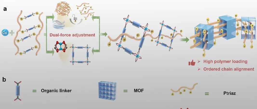 东华大学廖耀祖/张卫懿团队 Nat. Commun.：离子型聚合物原位分子编织至MOFs - 实现高效放射性阴离子捕获
