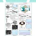 【Adv. Funct. Mater.】同济大学邱军教授团队：给超材料装上"神经系统"，双负电磁特性与光子皮肤完美融合