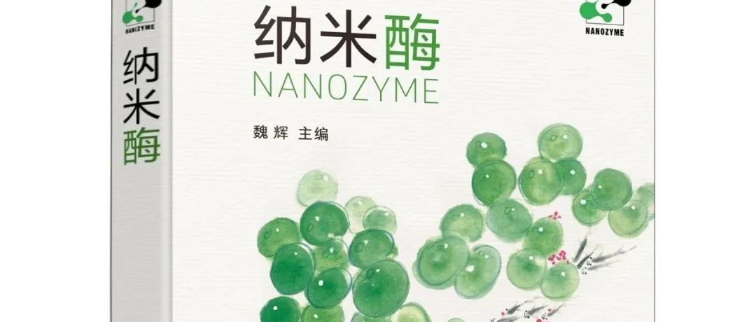 《纳米酶》共读之旅 | 第4章·类卤素过氧化物酶·盐入水中咸味自在