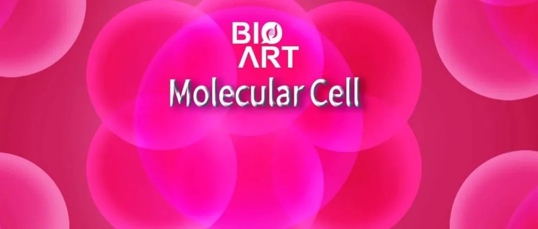 Mol Cell |&#160;突破PRO-seq局限：rPRO-seq助力转录组高精度快速解析
