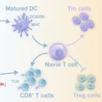 ACS Nano：多酚纳米颗粒可激活线粒体复合物I以抑制乏氧诱导因子-1亚基α以实现免疫治疗