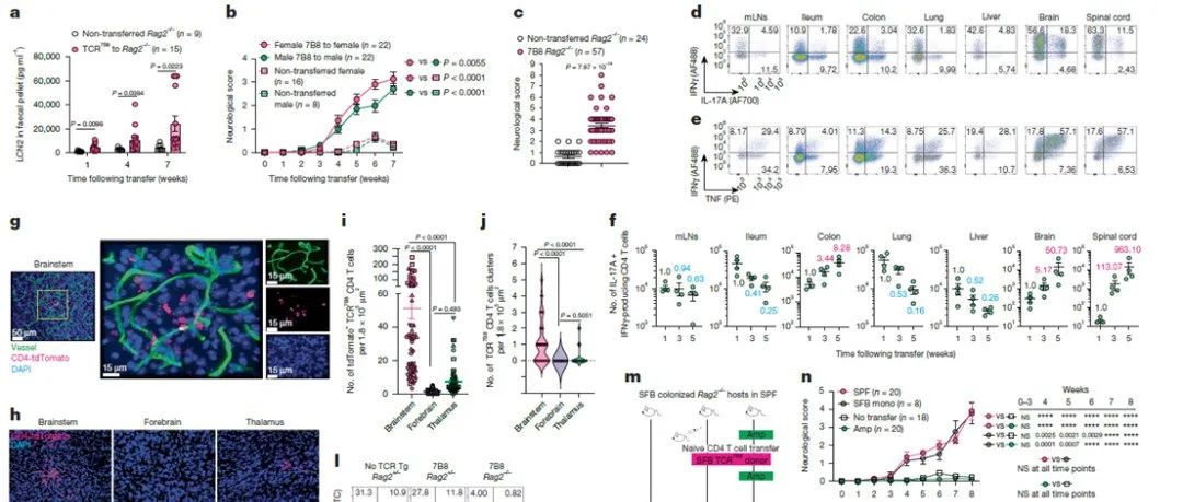 Nature | 微生物特异性CD4 T细胞在缺乏调节性T细胞时介导神经炎症