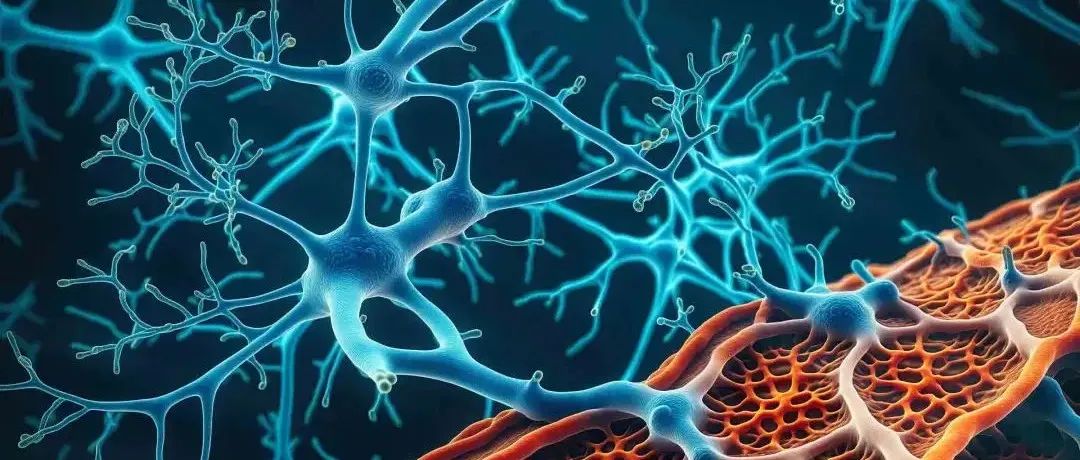 CAS Insights | 空间转录组学或为阿尔茨海默病、癌症等疾病带来新疗法