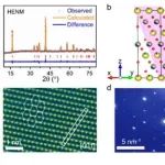 南开大学李福军教授ACS Energy Lett.：高压钠离子电池中氧化物正极的可逆相变
