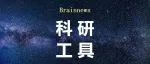 脑科学技能提升| 任务态磁共振数据处理学习（2025.8.18~9.8）
