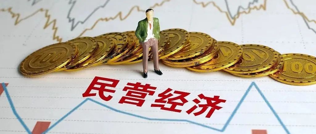 蒋永穆  张荣  乔张媛｜新质生产力推动民营经济高质量发展的作用机制与实现路径