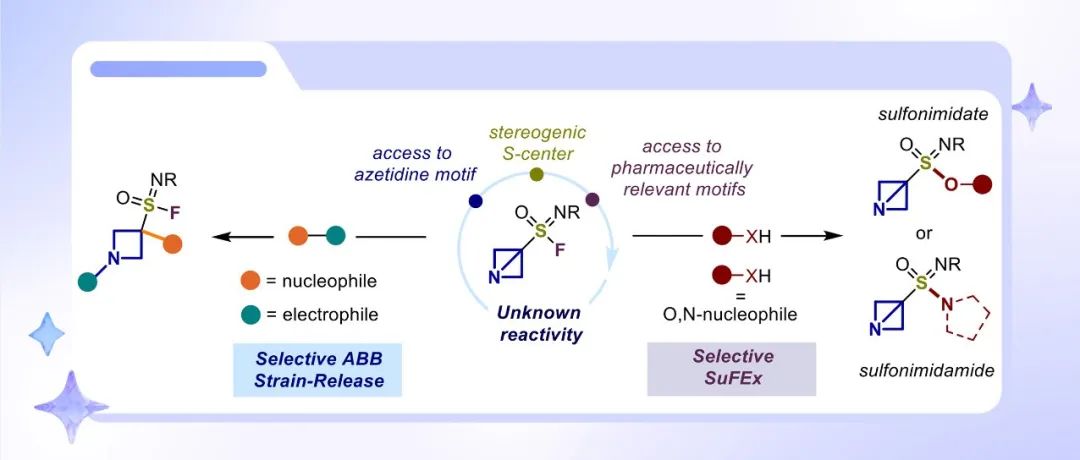 【ASC】巴里大学：氮杂双环[1.1.0]丁基取代磺酰亚胺基氟化物-亲电枢纽连接后期氮杂环丁烷与Sufex化学的结合