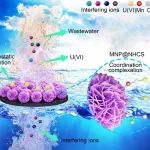南华大学彭国文课题组CEJ：N掺杂空心碳球支撑的δ-MnO2纳米片复合材料通过配位-静电协同高效提取铀