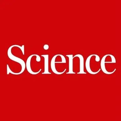 重磅！浙江工业大学杨云芳/约翰斯·霍普金斯大学黄雄怡，今日Science！