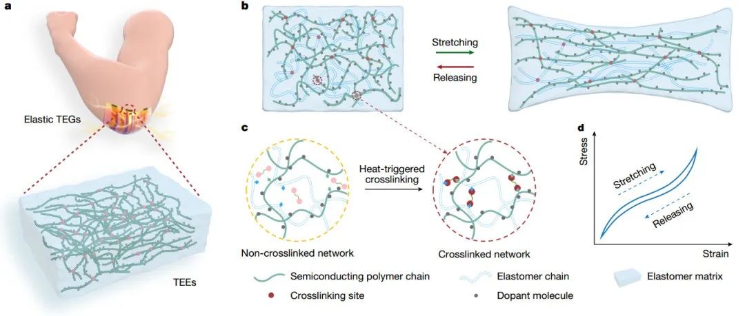 青岛科技大学最新Nature