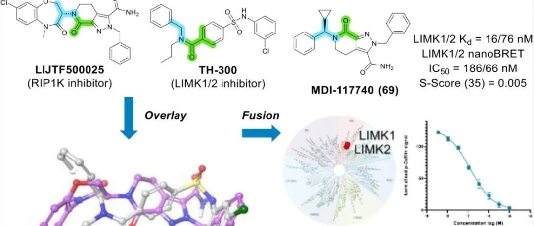 四氢吡唑并吡啶酮骨架｜新型LIMK抑制剂：MDI-117740的结构与药效关系