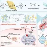 Biomaterials：时控水凝胶平台可通过代谢重编程和铜死亡驱动的免疫激活对抗三阴性乳腺癌