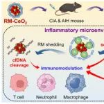 ACS Nano：仿生免疫调节剂可在自身免疫性疾病中实现多靶点炎症阻断